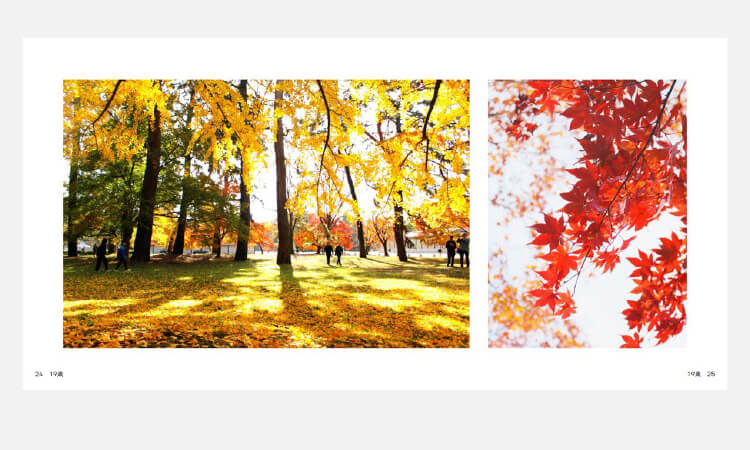 シーズンブックのつくり方アイディア